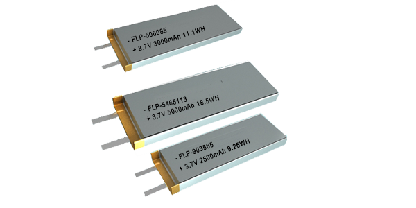 Li-PO Standard Industrial batteries